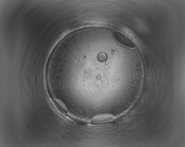 X0000084551283200702231155