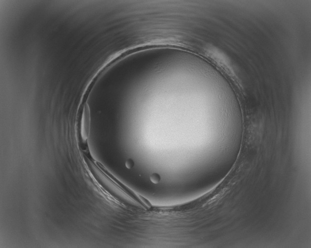 X0000084551284200702231155