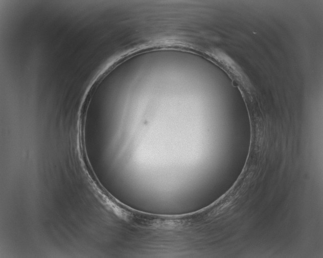 X0000084551286200702231155