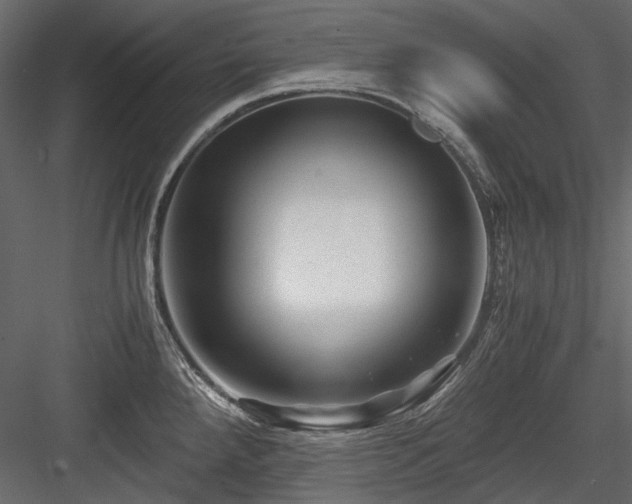 X0000084551288200702231155