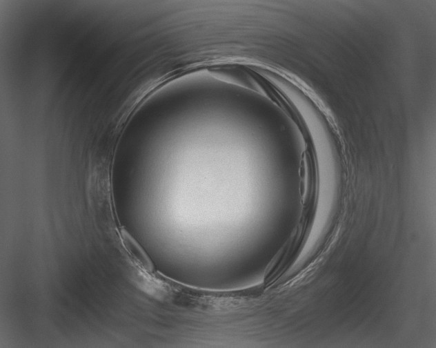 X0000084551289200702231155