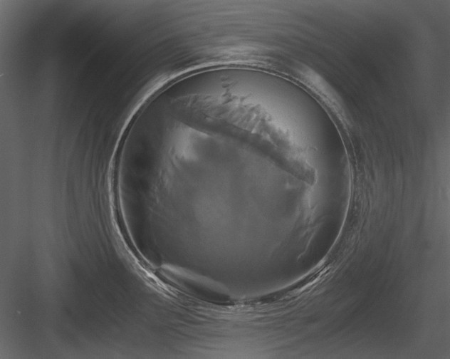 X0000084551291200702231154