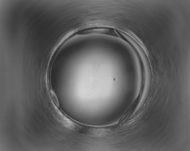 X0000084551293200702231154