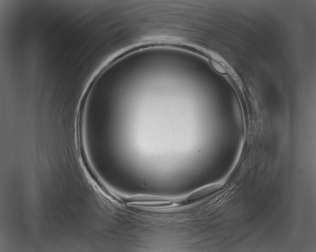 X0000084551295200702231154