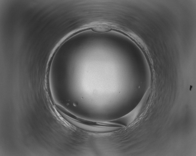 X0000084551296200702231154