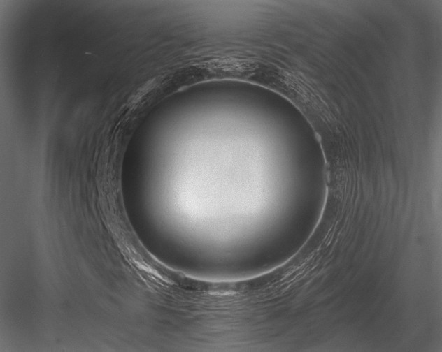 X0000084551297200702231154