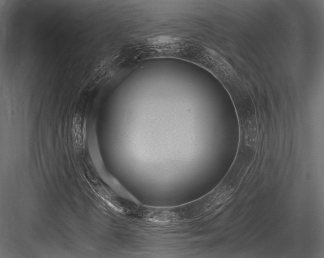 X0000084551298200702231154