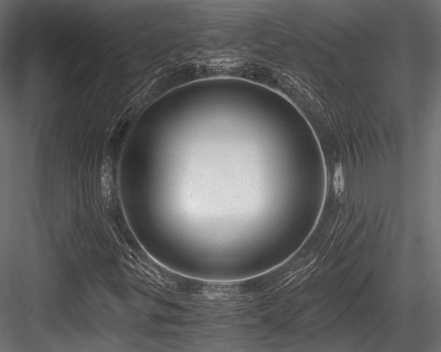 X0000084551299200702231154