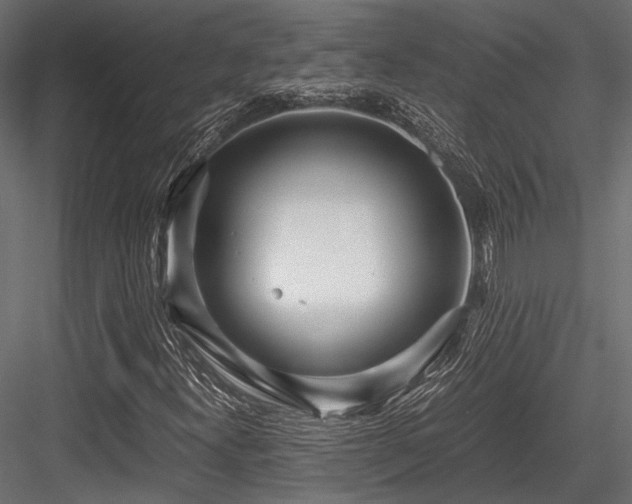 X0000084551300200702231154