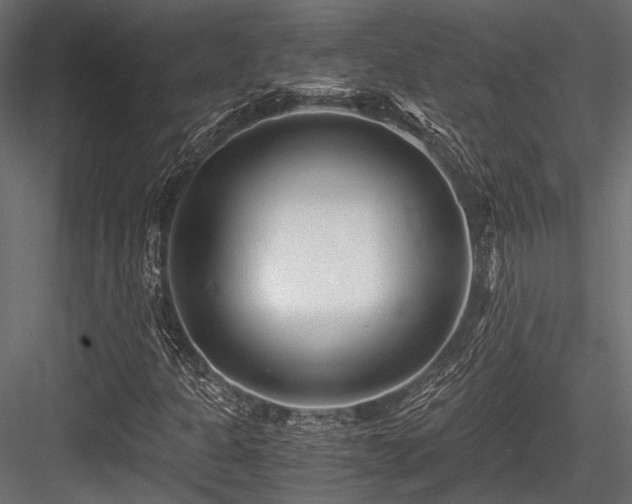X0000084551301200702231154