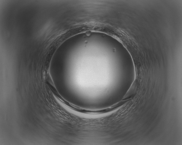 X0000084551302200702231154