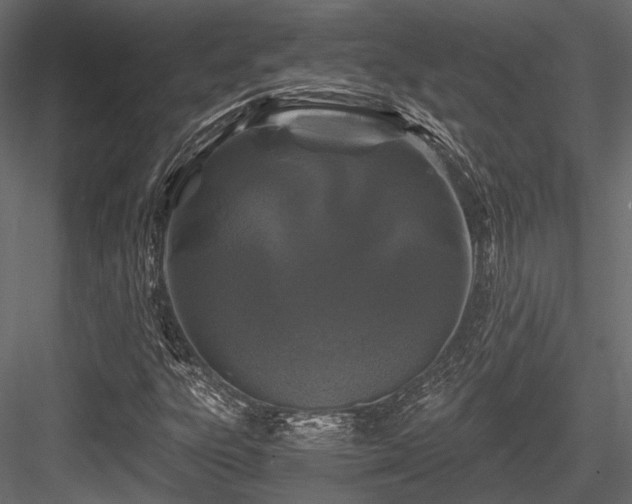 X0000084551303200702231154
