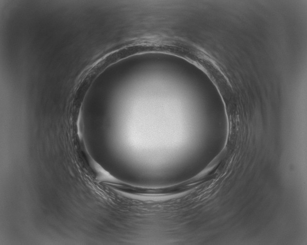 X0000084551304200702231154