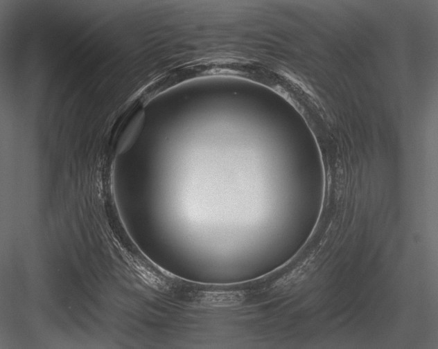 X0000084551305200702231154