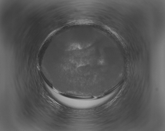 X0000084551306200702231154