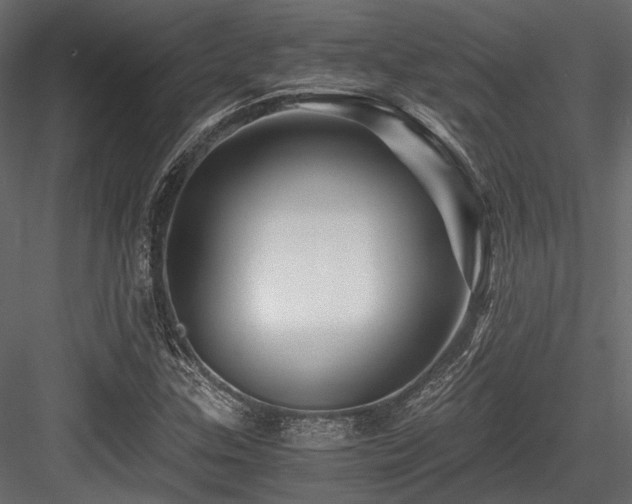 X0000084551307200702231154