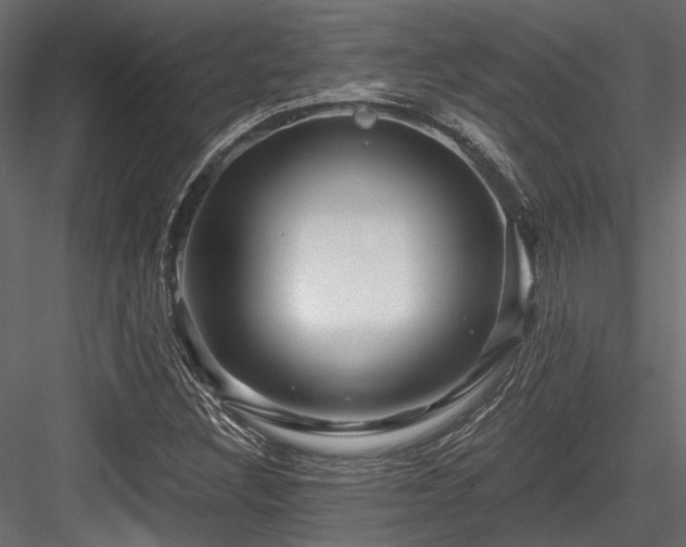 X0000084551308200702231154