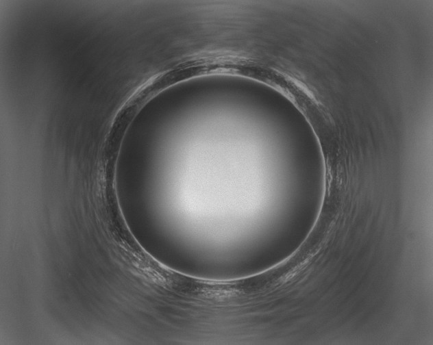 X0000084551309200702231154