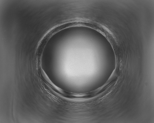 X0000084551310200702231154