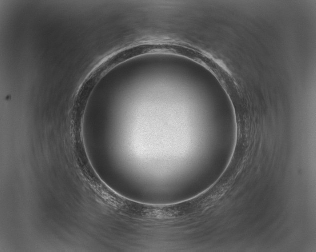 X0000084551311200702231154
