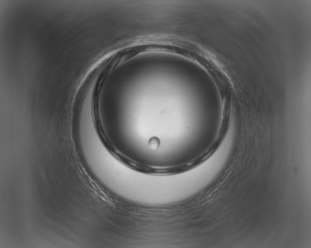 X0000084551312200702231154
