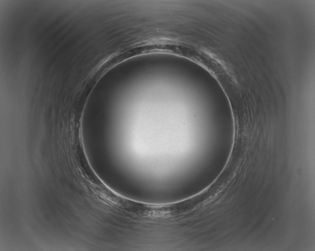 X0000084551313200702231154