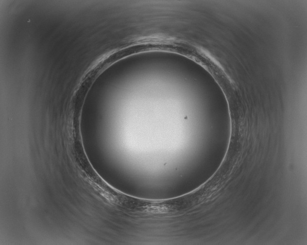 X0000084551315200702231154