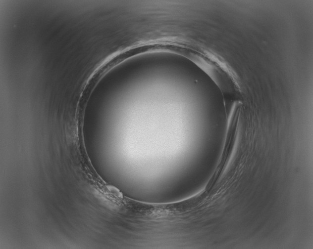 X0000084551316200702231154