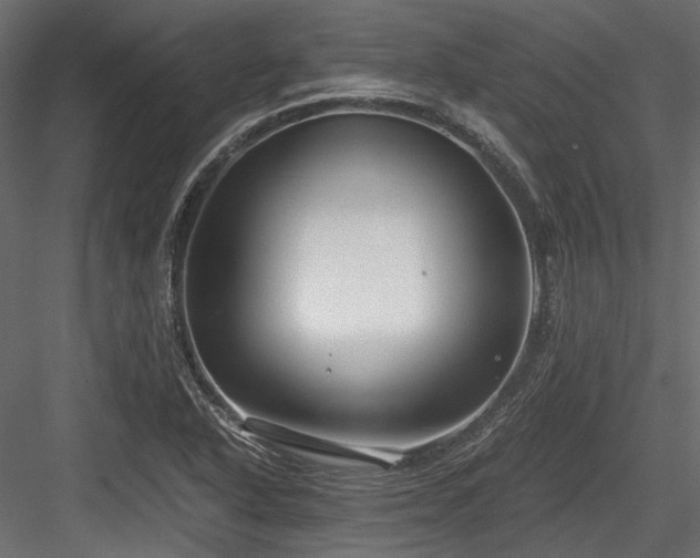 X0000084551318200702231154