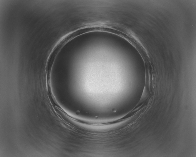 X0000084551320200702231154