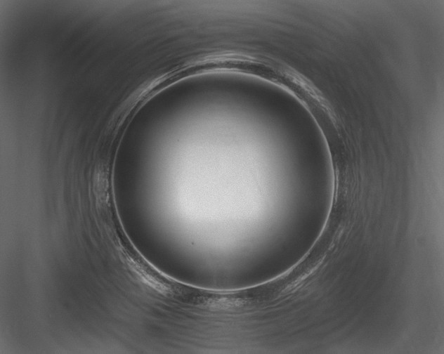 X0000084551321200702231154