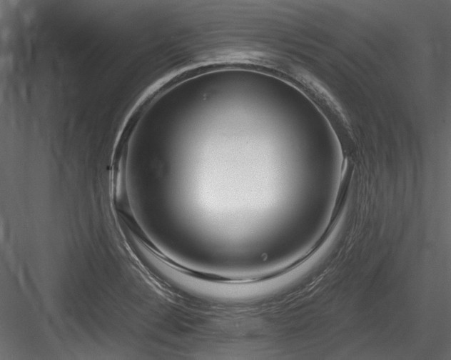 X0000084551324200702231154