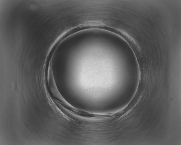 X0000084551325200702231154