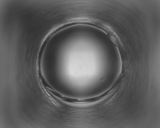 X0000084551328200702231154