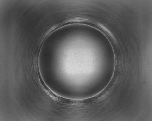 X0000084551329200702231154