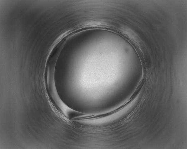 X0000084551330200702231154