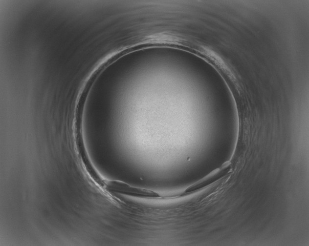 X0000084551331200702231154