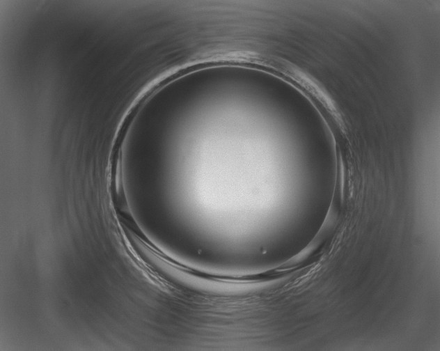 X0000084551332200702231154
