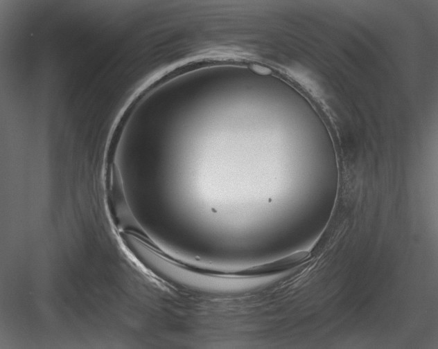 X0000084551335200702231154