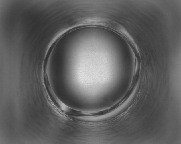 X0000084551336200702231154