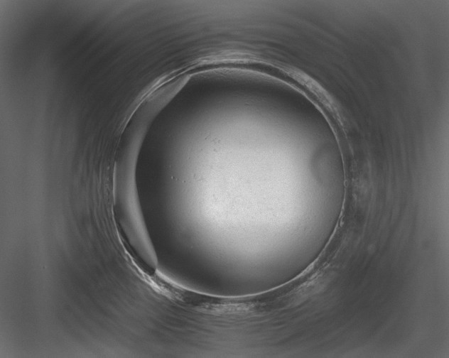 X0000084551337200702231154
