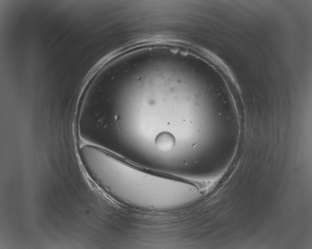 X0000084551338200702231154