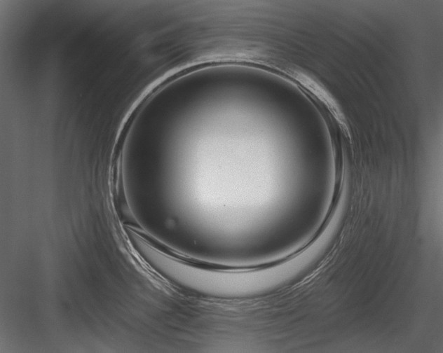 X0000084551340200702231154