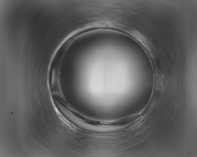 X0000084551342200702231154