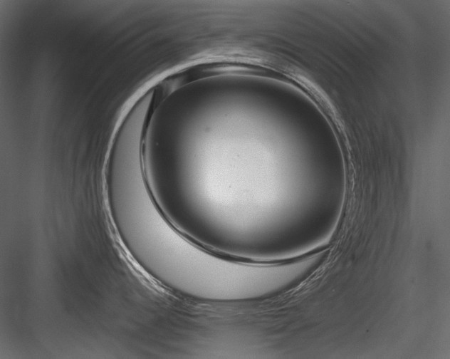 X0000084551344200702231154