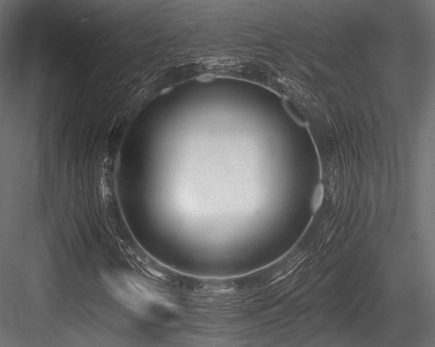 X0000084551346200702231154