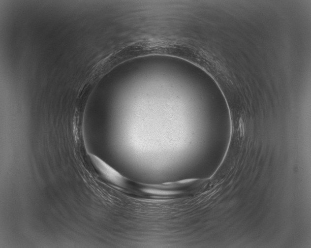 X0000084551348200702231153