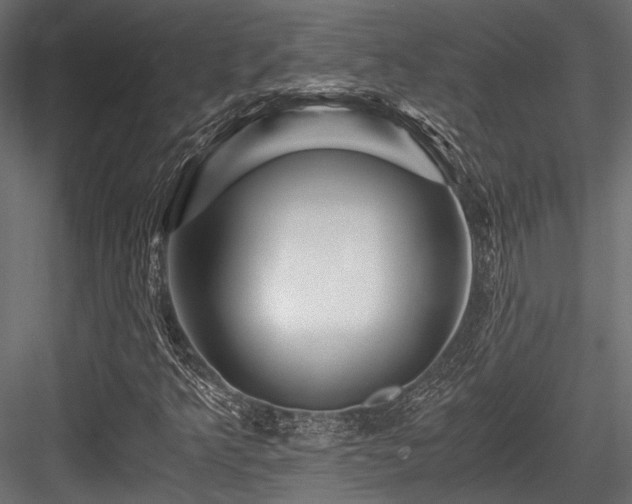 X0000084551349200702231153