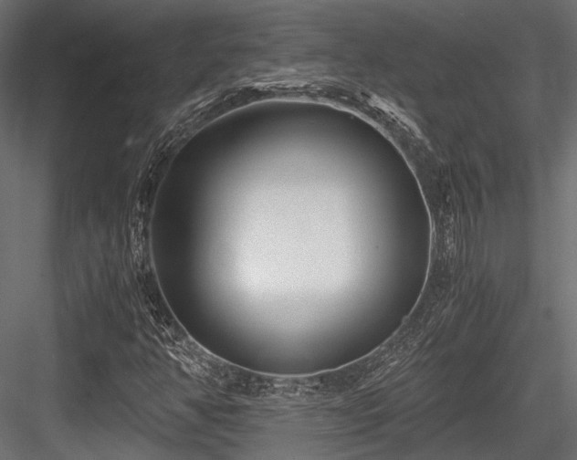 X0000084551350200702231153