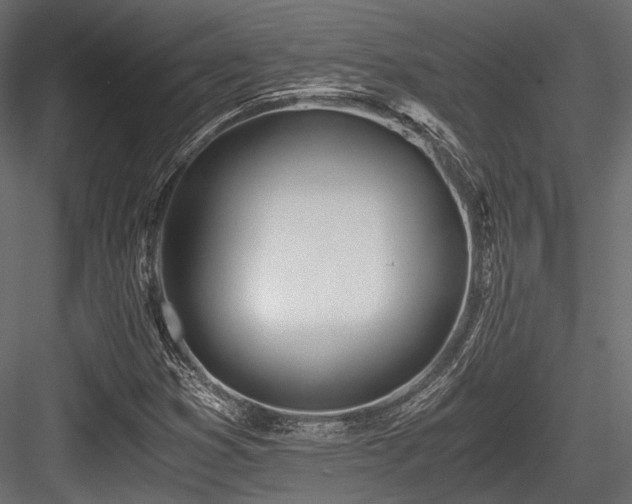 X0000084551353200702231153